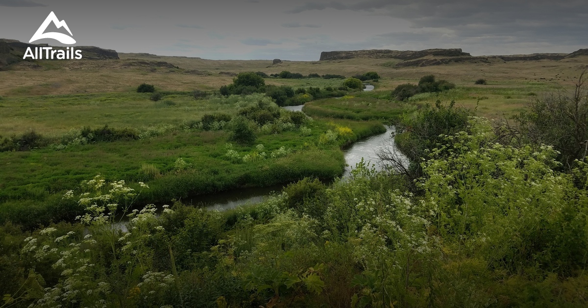 Best Hikes and Trails in Endicott AllTrails