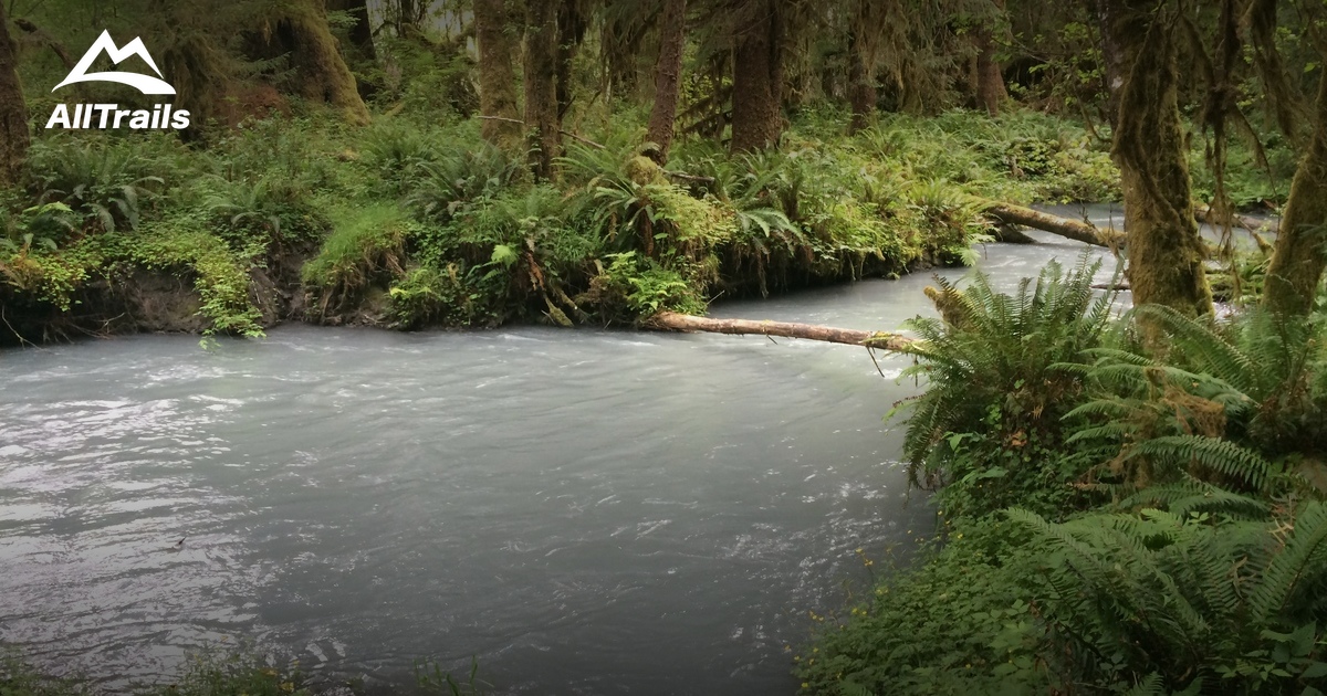 Best Trails near Forks, Washington