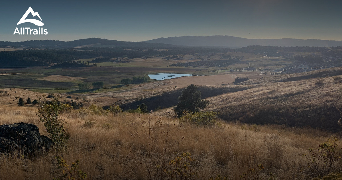 2023 Best Horseback Riding Trails in Greenacres AllTrails