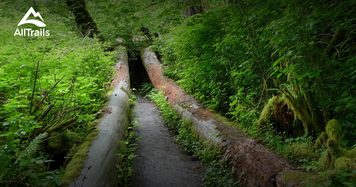 Best Trails near Joyce, Washington AllTrails