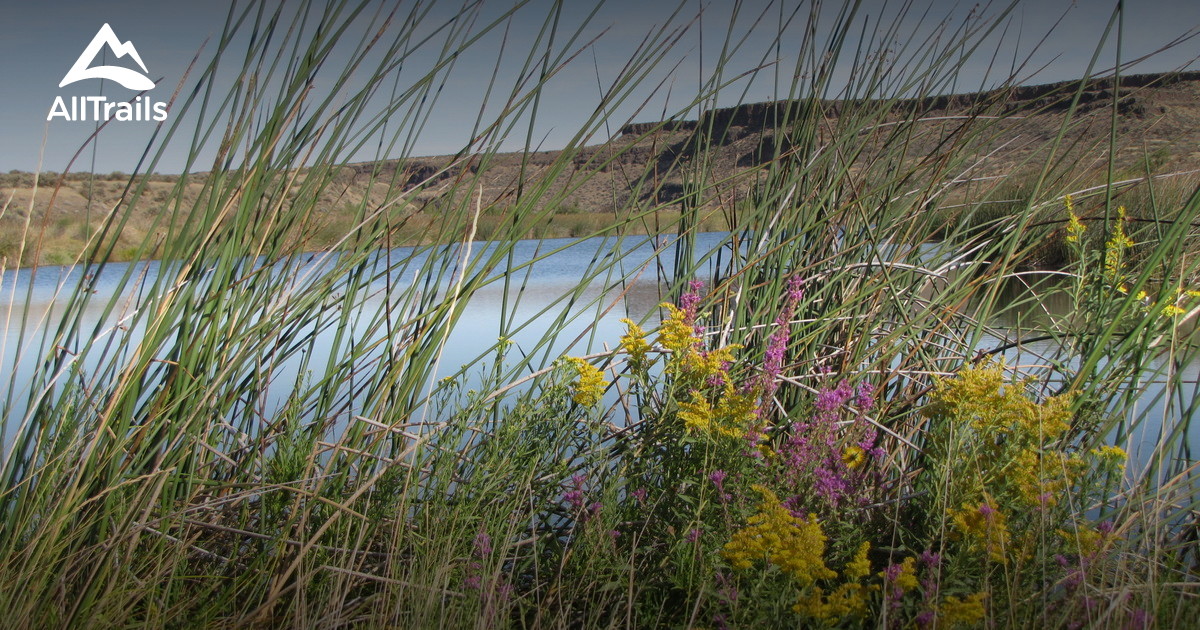 Best Trails near Mattawa, Washington AllTrails