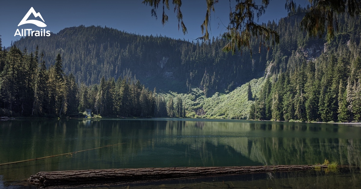 10 Best Trails and Hikes in Mineral AllTrails