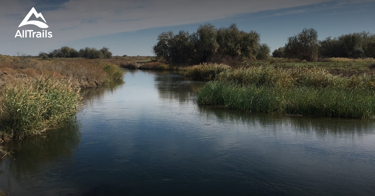 Best Hikes and Trails in Moses Lake AllTrails