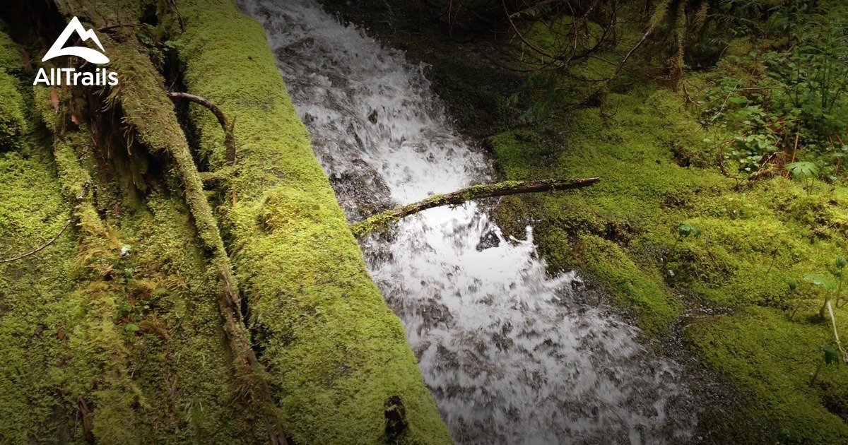 Best Trails near Mossyrock, Washington AllTrails