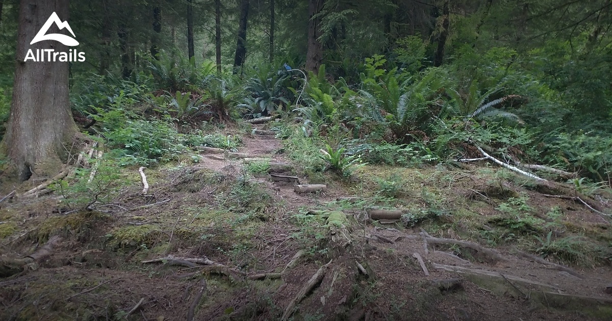 Best Hikes and Trails in Naselle AllTrails