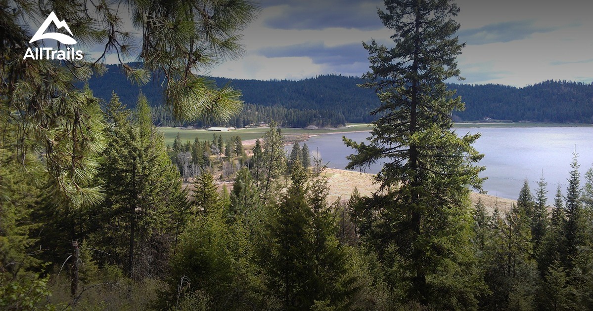 Best Trails near Newman Lake, Washington AllTrails