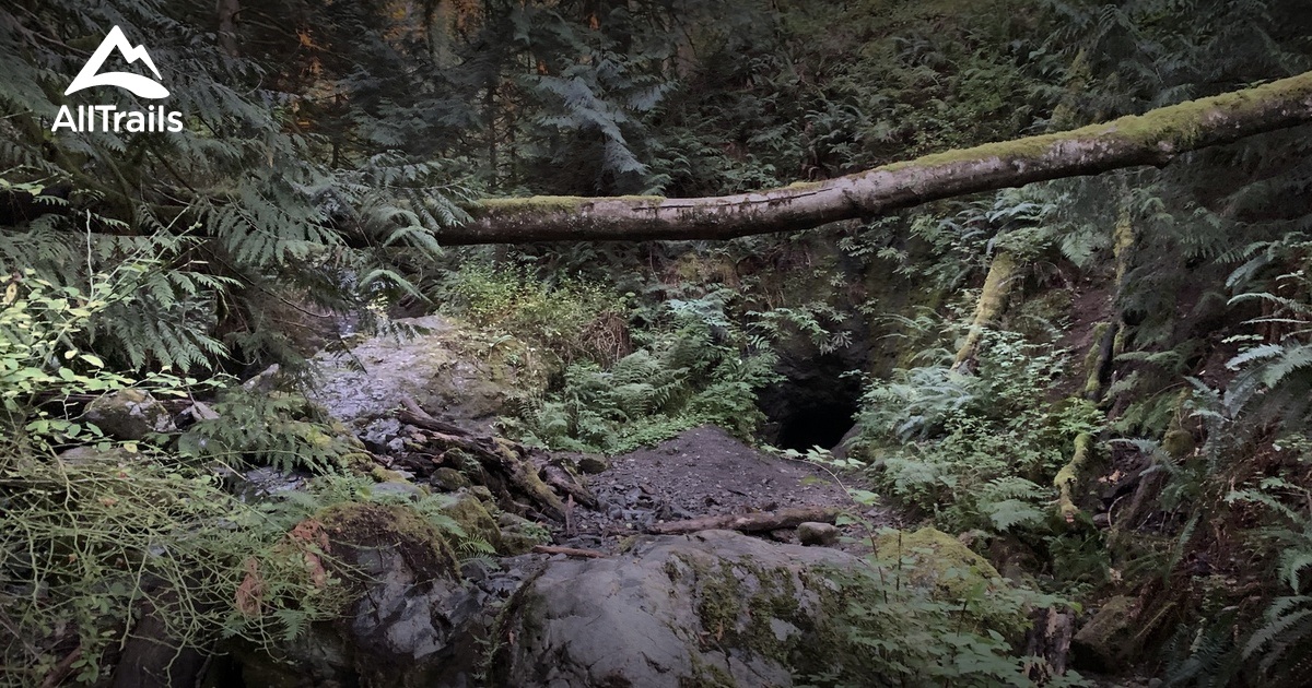 Best Hikes and Trails in Nooksack AllTrails