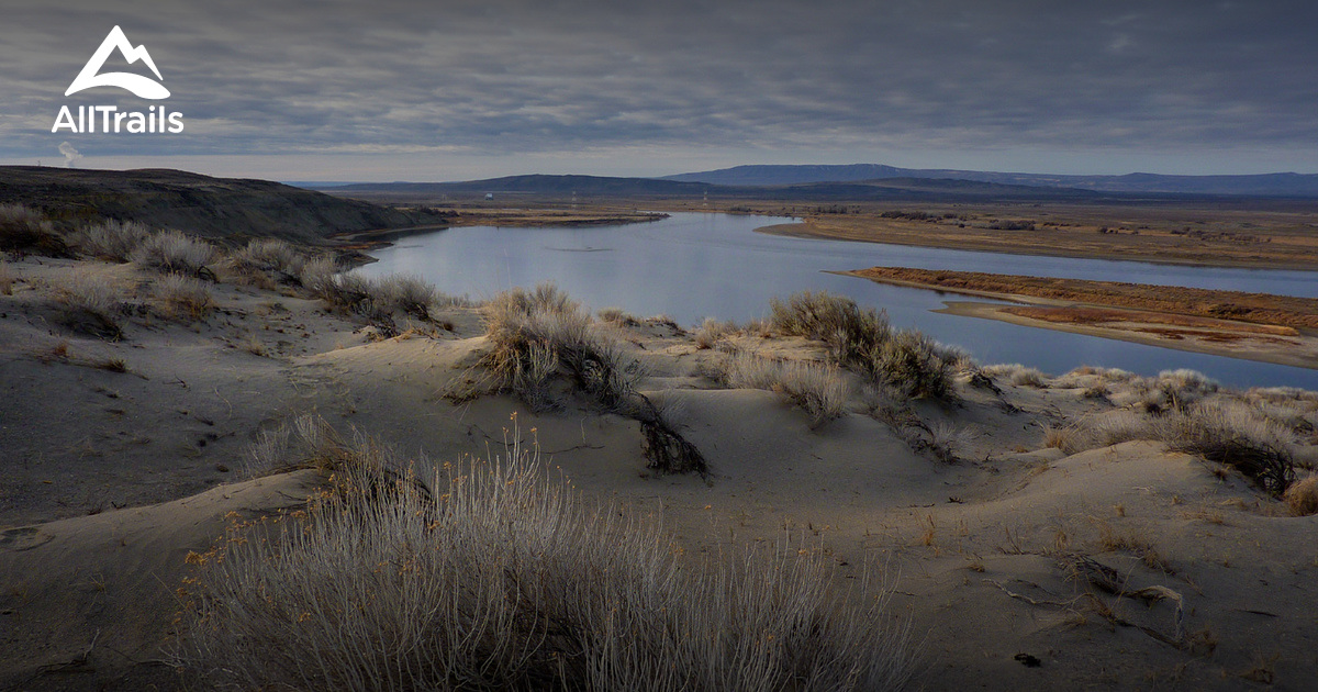 othello wa