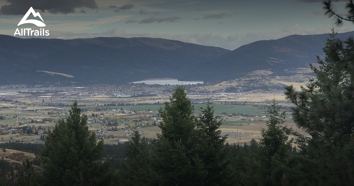 Best Trails near Otis OrchardsEast Farms, Washington AllTrails