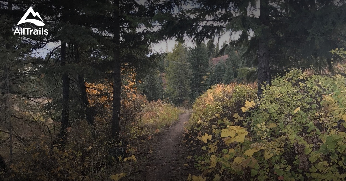 Best Hikes and Trails in Otis OrchardsEast Farms AllTrails