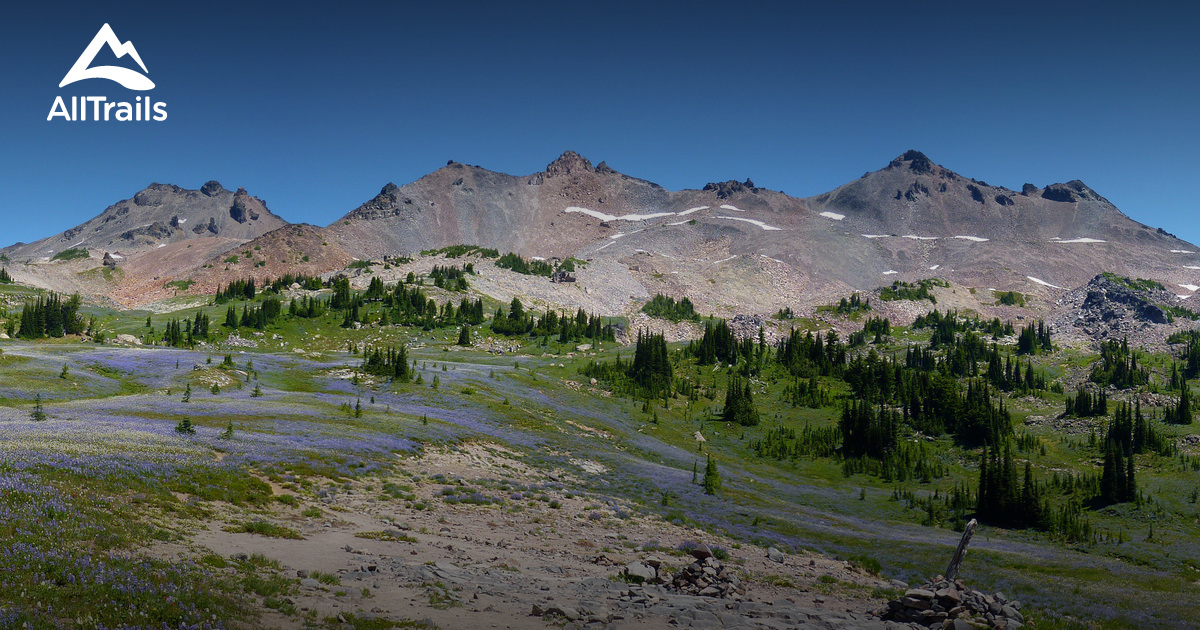 Best Trails near Packwood, Washington AllTrails