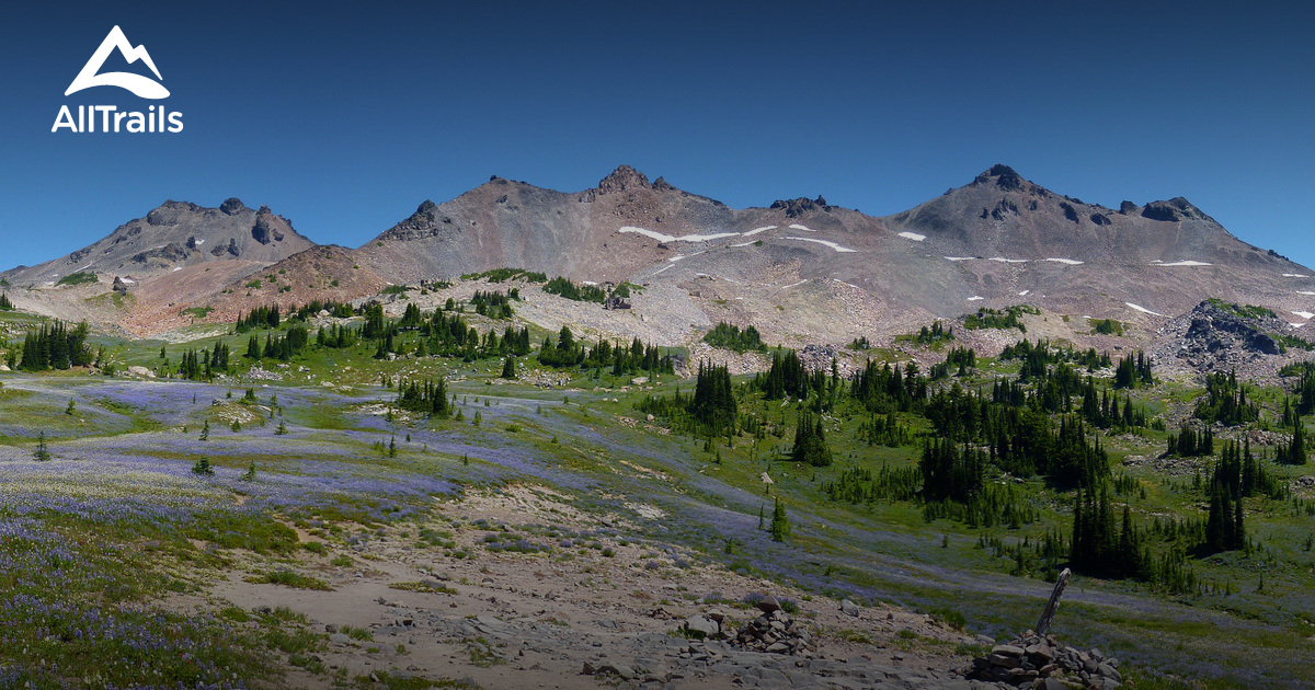 Best Trails near Packwood, Washington AllTrails