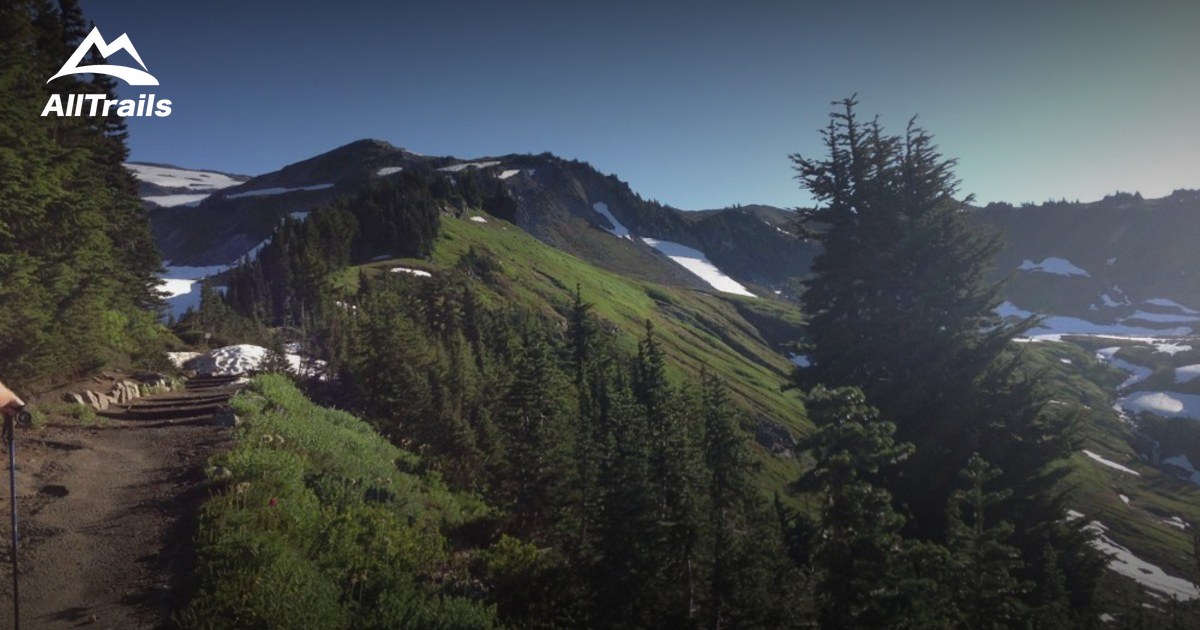 Best Trails Near Paradise Inn, Washington | AllTrails.com