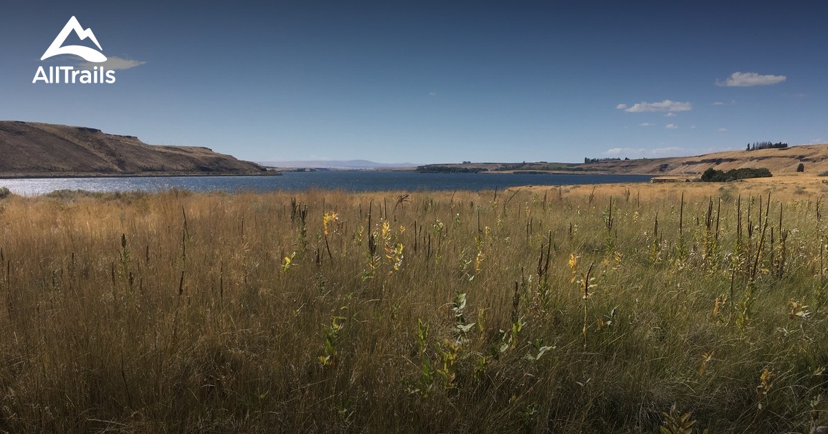 Best Hikes and Trails in Pasco AllTrails