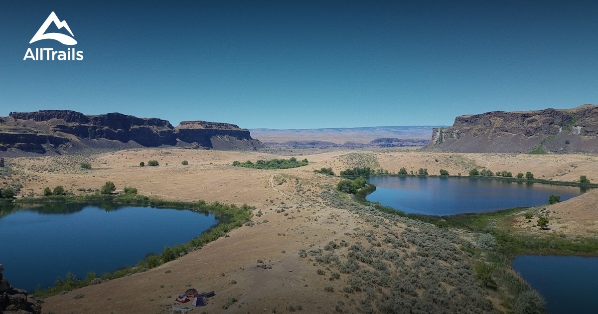 10 Best Trails and Hikes in Quincy  AllTrails