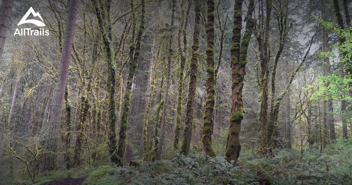 Best Trails near Ridgefield Washington 75 Photos & 118 Reviews