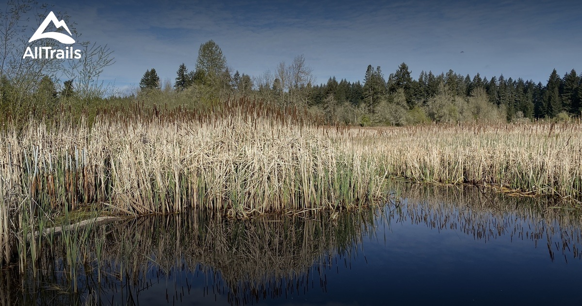 Best Hikes and Trails in Roy AllTrails