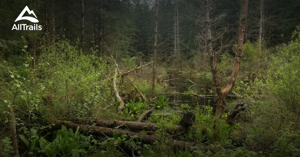 Best Trails near Sedro-Woolley, Washington