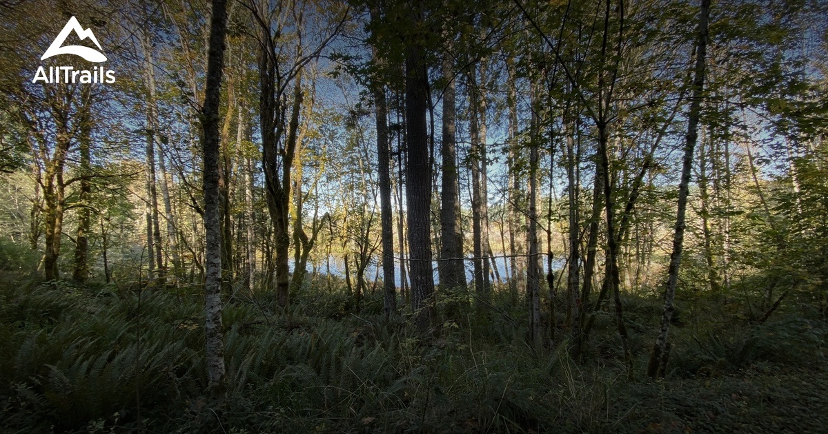 Best Trails near Tenino, Washington AllTrails