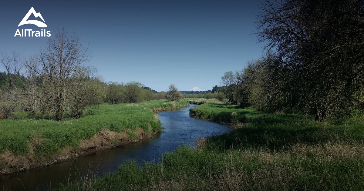 salmon creek zoom care salmon creek zoom care