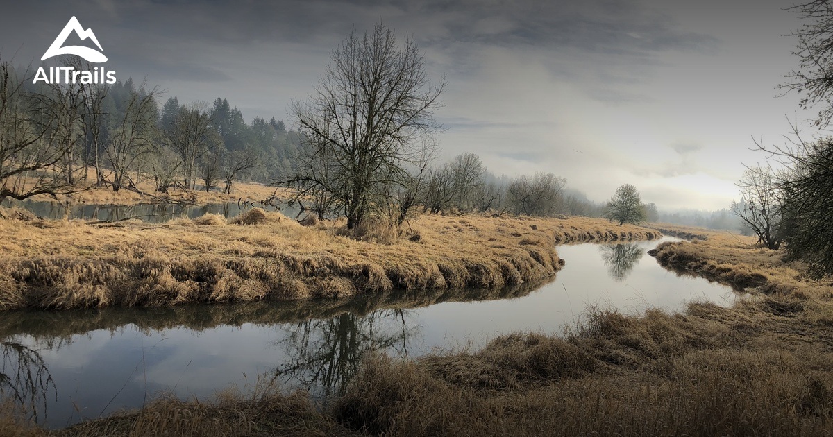 10 Best Trails and Hikes in Vancouver