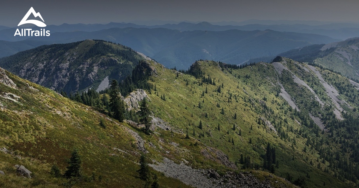 10 Best Trails and Hikes in Yacolt AllTrails