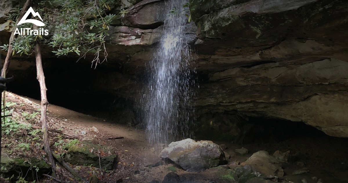 Best Trails near Hacker Valley, West Virginia AllTrails