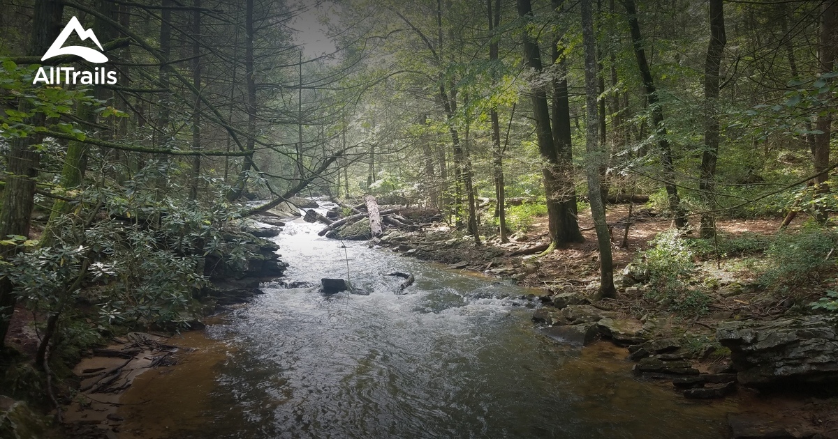Best trails in Hedgesville, West Virginia AllTrails