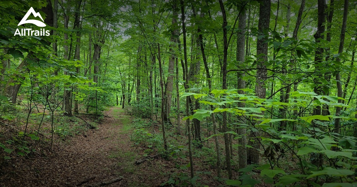 Best Forest Trails in Meadow Creek AllTrails