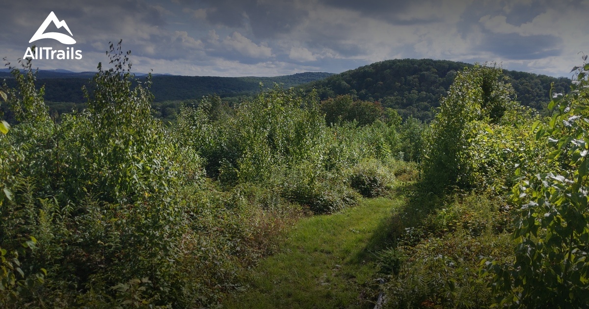 Best Hikes and Trails in Monterville AllTrails