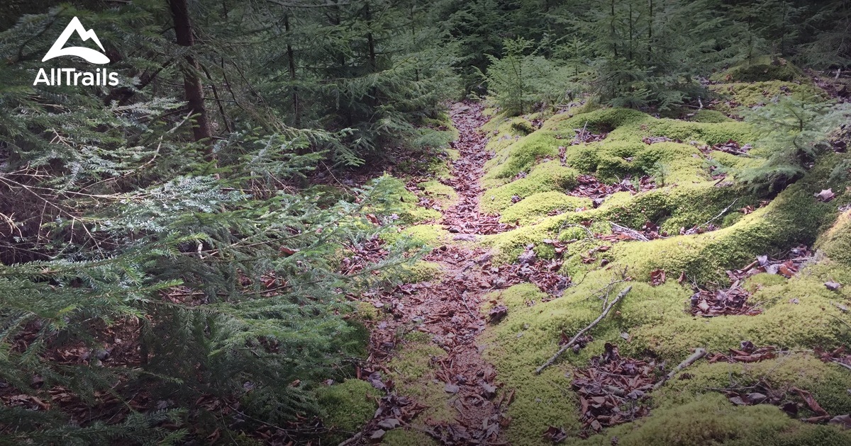 Best Trails near Slatyfork, West Virginia AllTrails
