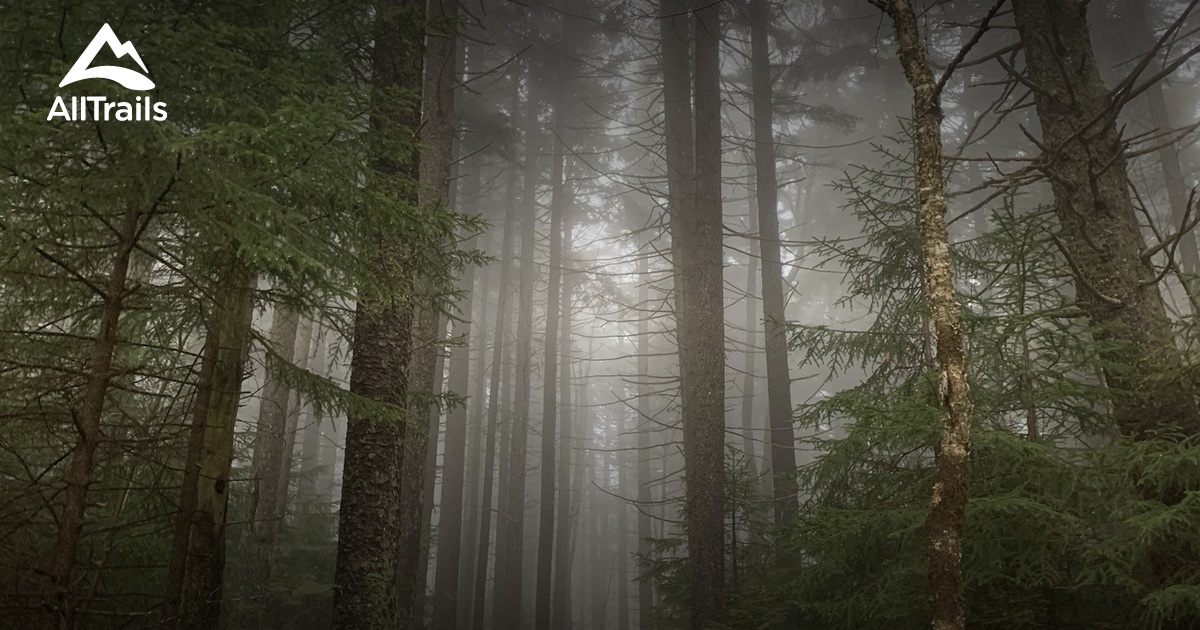 Best Hikes and Trails in Slatyfork AllTrails