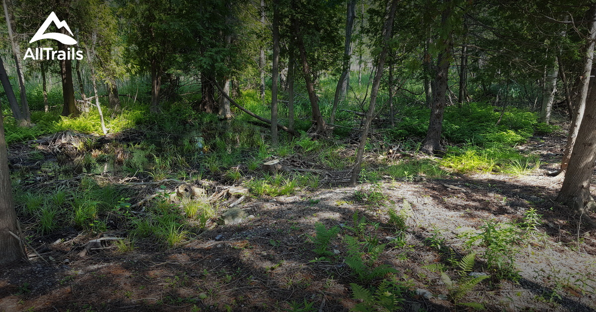 Weather in Baileys Harbor Explained