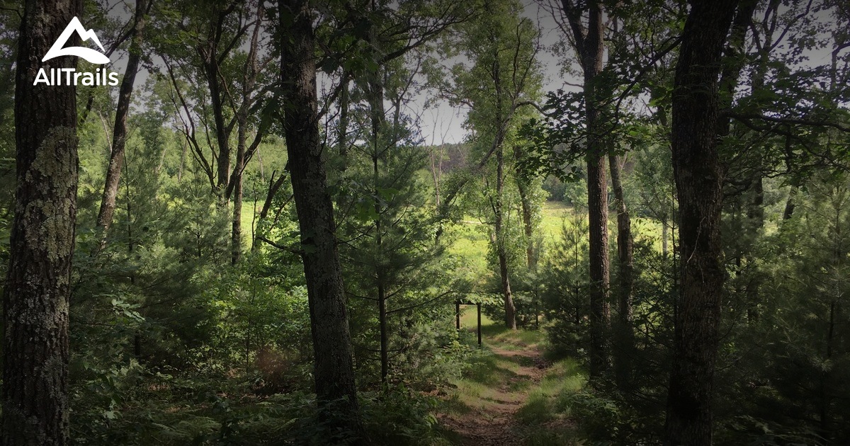 Best hikes and trails in King | AllTrails