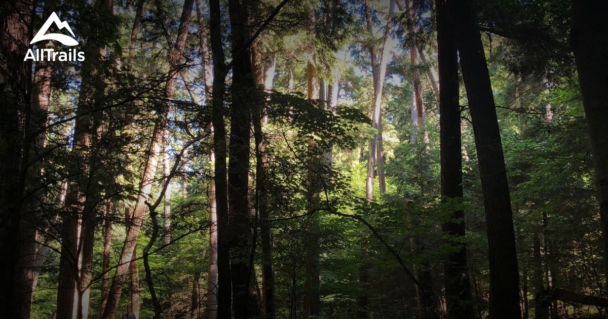 Best Hikes and Trails in Lakewood AllTrails