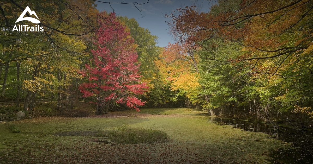 Best Hikes and Trails in Land O Lakes AllTrails