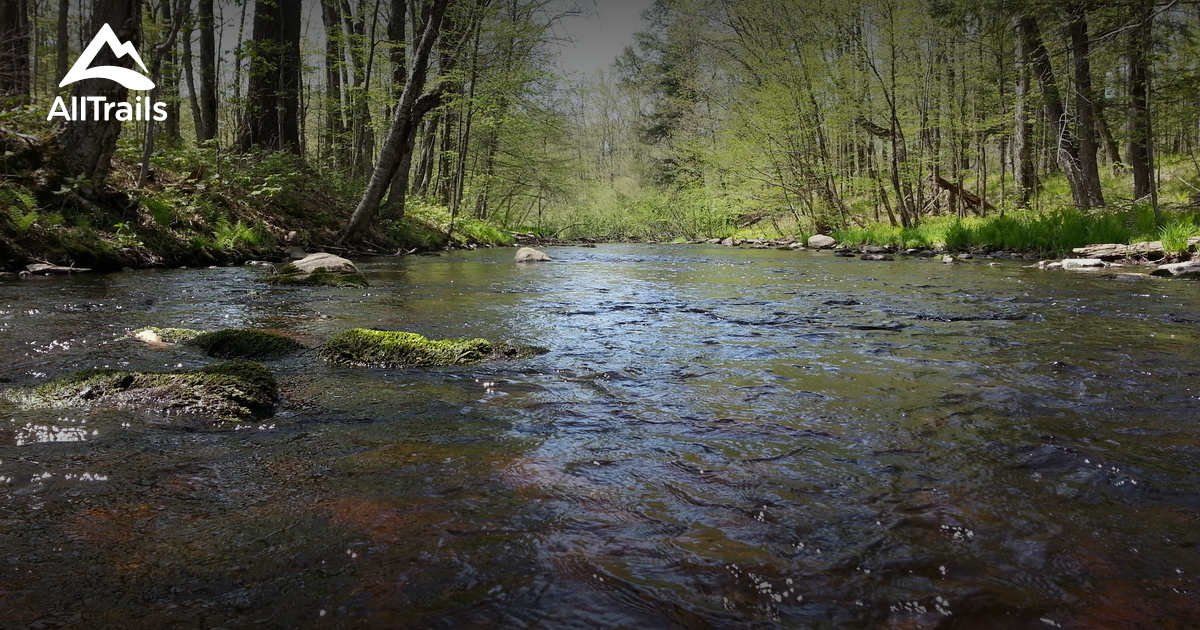 Best trails in Medford, Wisconsin AllTrails