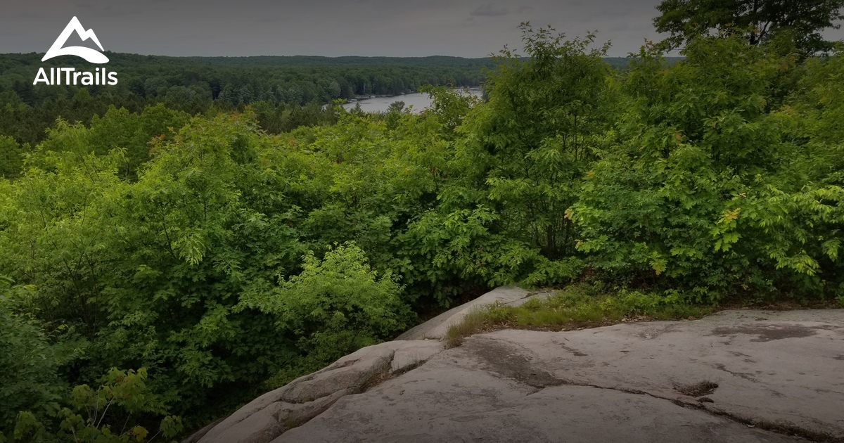 Best Trails near Mountain, Wisconsin AllTrails