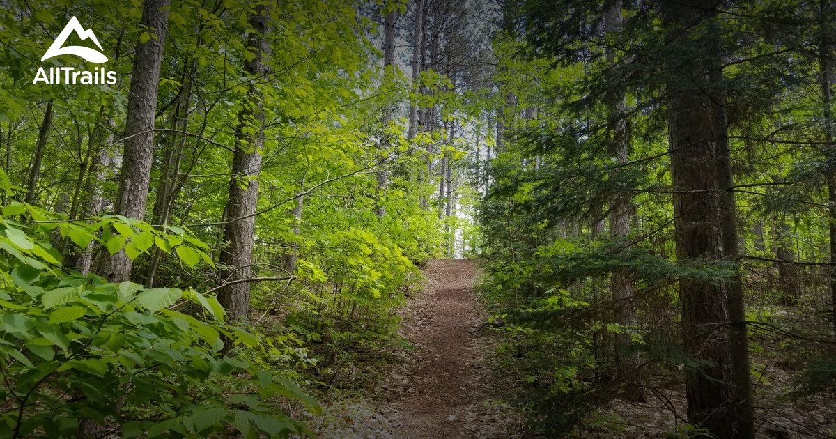 Best Forest Trails in Ringle AllTrails
