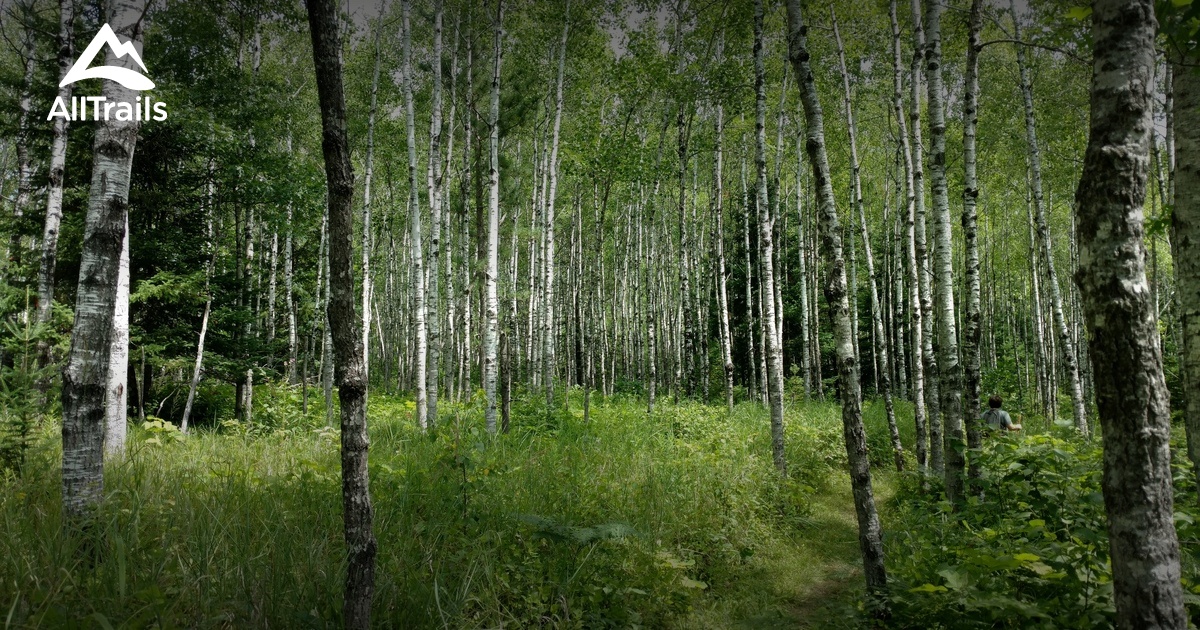 Best Hikes and Trails in Solon Springs AllTrails