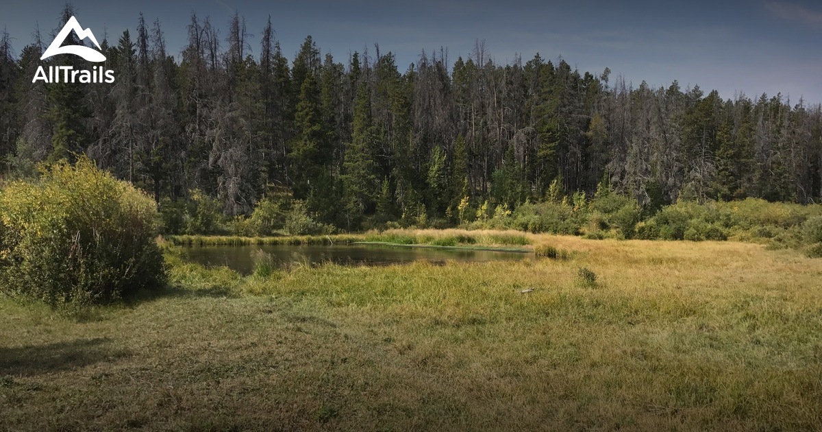 Best Trails near Laramie, Wyoming AllTrails