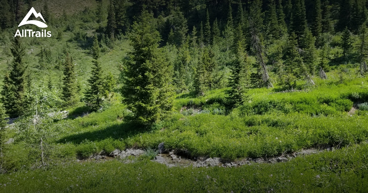 Best Hikes and Trails in Thayne AllTrails