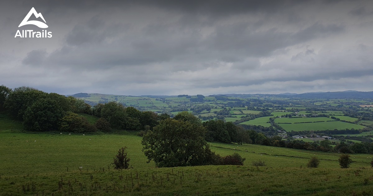 Best Hikes and Trails in Buckley AllTrails