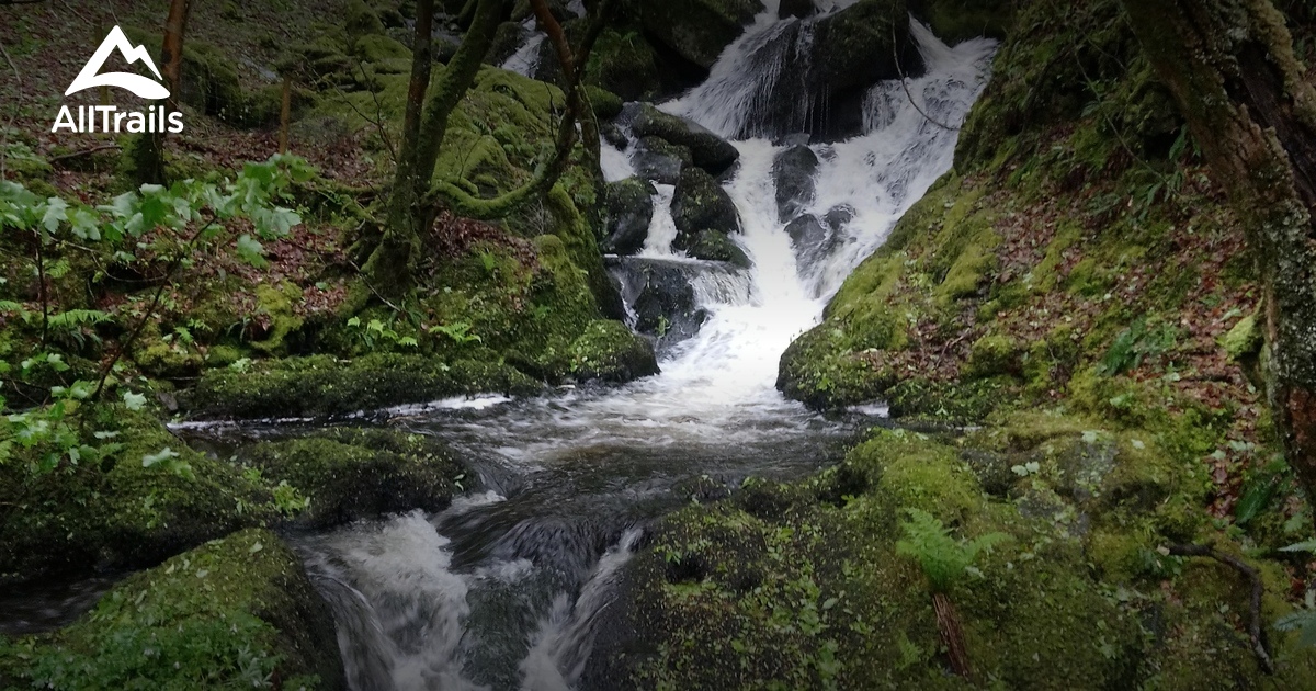 Best Camping Trails in Arthog AllTrails