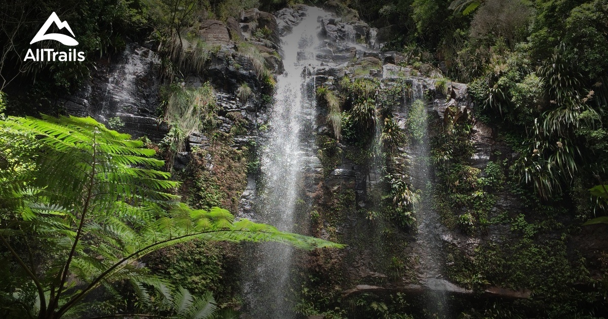 10 Best trails and hikes in Queensland AllTrails