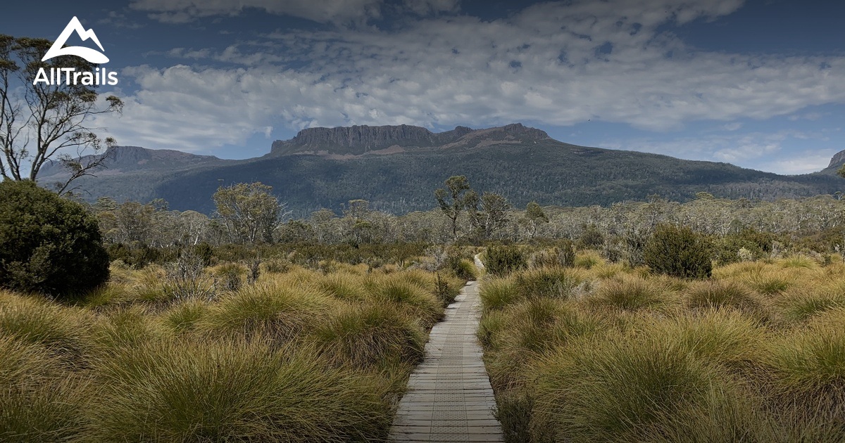 Nuttig Wordt erger Berri 2023 Best 10 Trails and Hikes in Tasmania | AllTrails