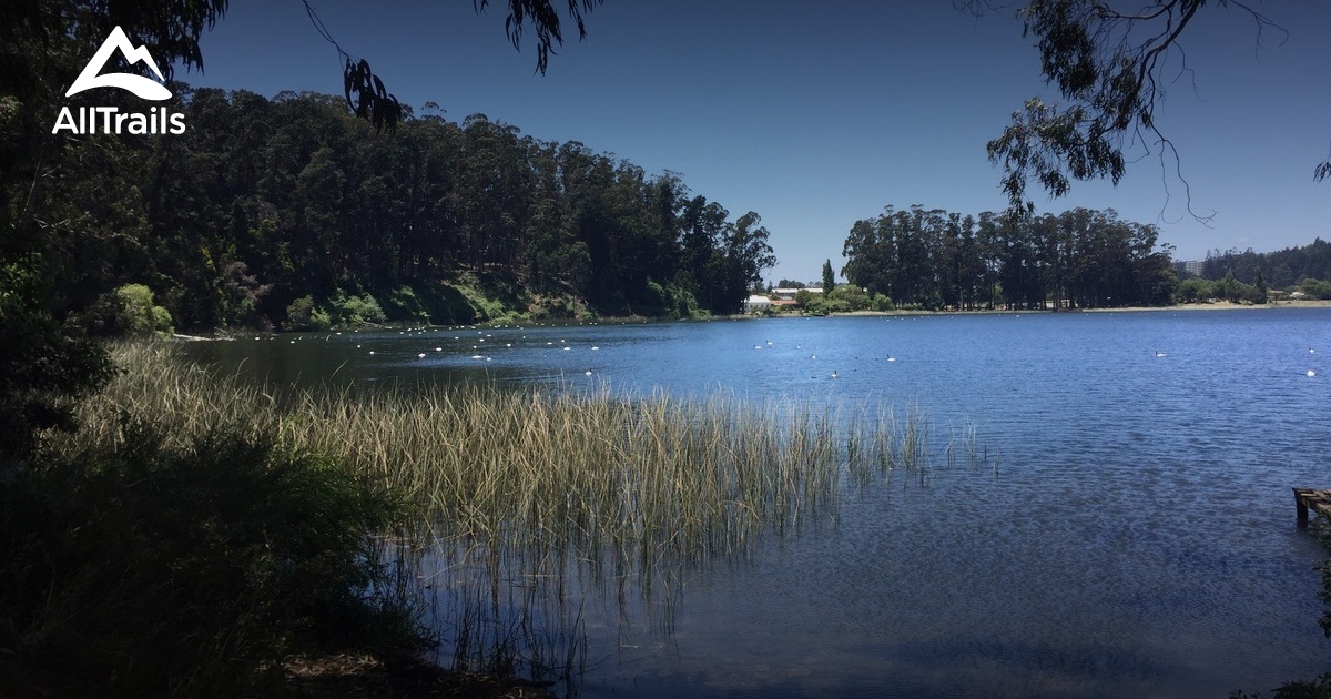 Best 10 River Trails in Bío Bío AllTrails