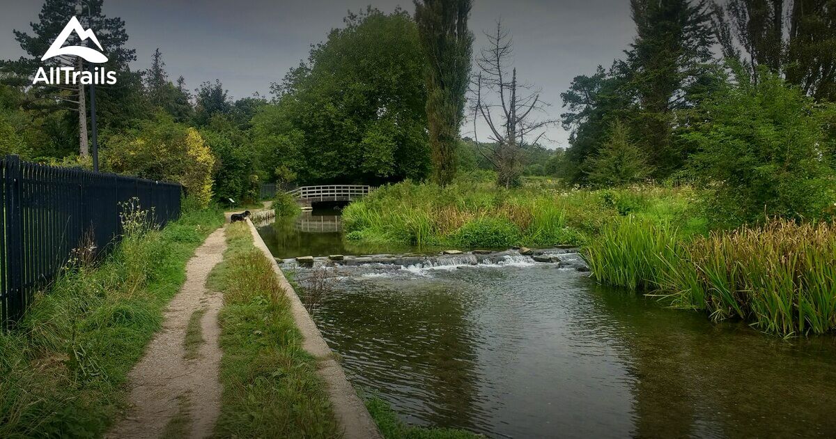 10 Best River Trails in Hampshire AllTrails