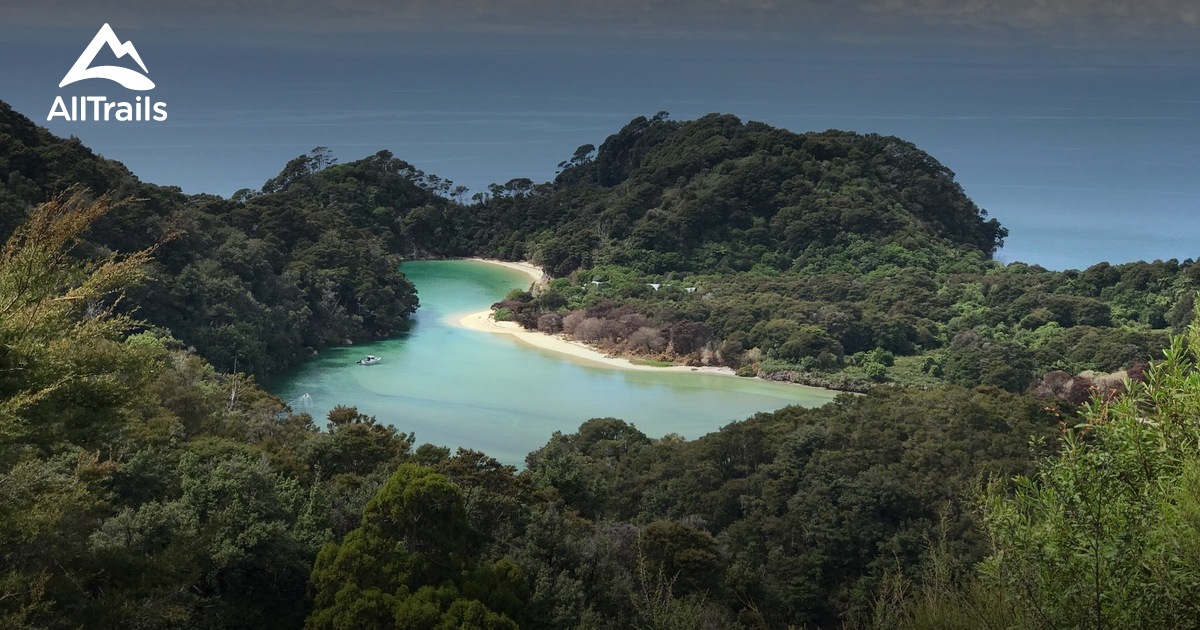 10 Best Trail Running Trails in NelsonTasman AllTrails