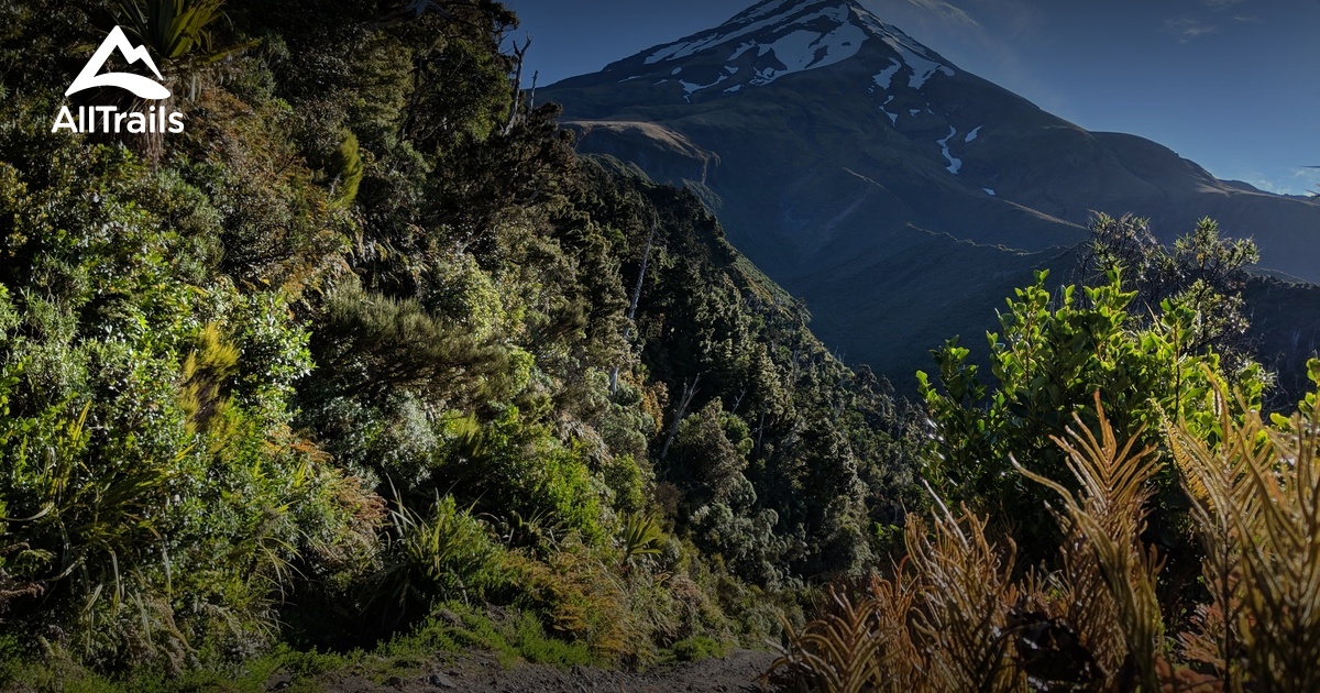 Best Trails In Taranaki, New Zealand | AllTrails